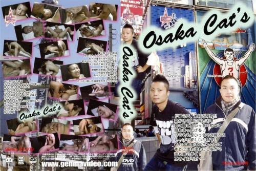 Osaka Cat’s